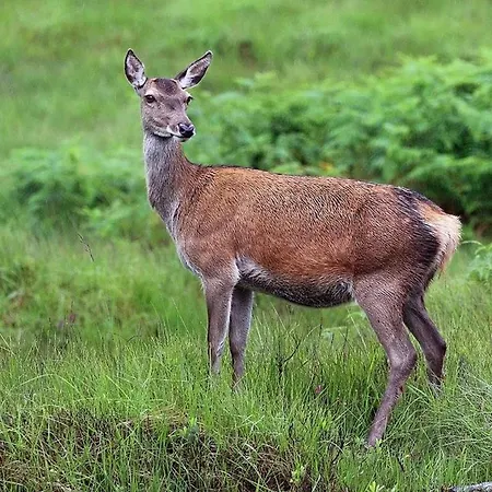 Amazing Country Retreat, Hot Tub Σπίτι διακοπών Darley