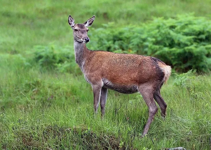 Amazing Country Retreat, Hot Tub Hébergement de vacances Harrogate